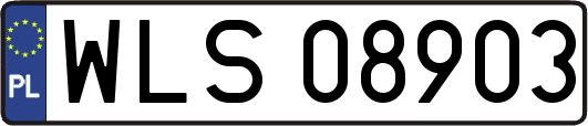 WLS08903