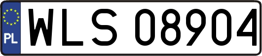 WLS08904