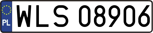 WLS08906