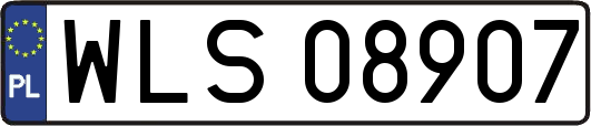WLS08907