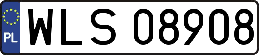 WLS08908