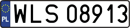 WLS08913