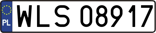 WLS08917