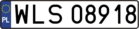 WLS08918