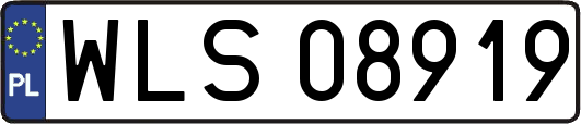 WLS08919