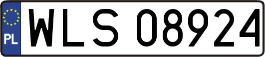 WLS08924