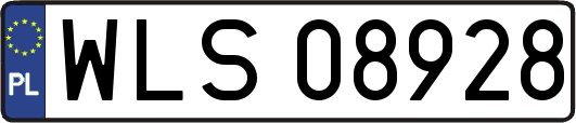 WLS08928