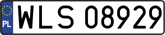 WLS08929