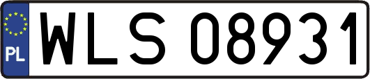 WLS08931