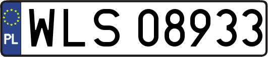 WLS08933