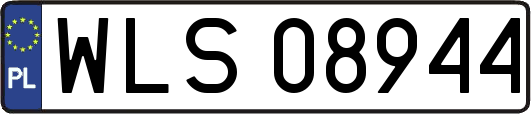 WLS08944