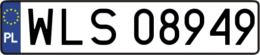 WLS08949