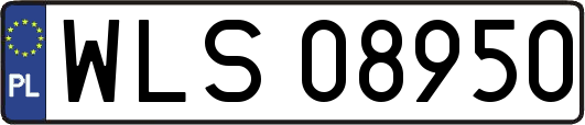 WLS08950