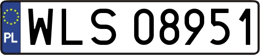 WLS08951