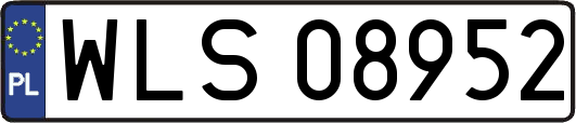 WLS08952