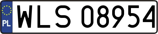 WLS08954
