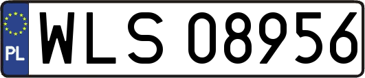 WLS08956