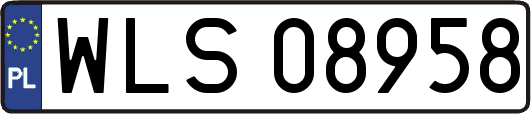 WLS08958