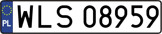 WLS08959