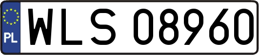 WLS08960