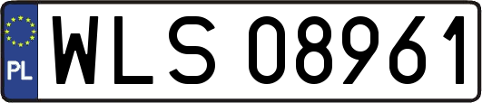 WLS08961