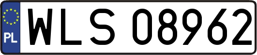 WLS08962