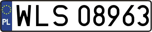 WLS08963