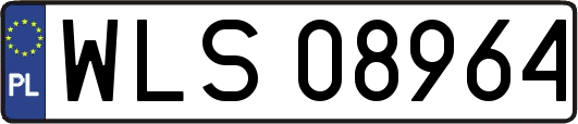 WLS08964