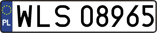 WLS08965