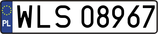 WLS08967