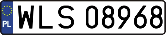 WLS08968