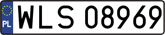 WLS08969