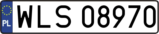 WLS08970