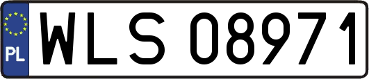 WLS08971