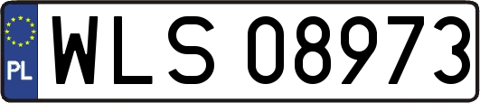 WLS08973