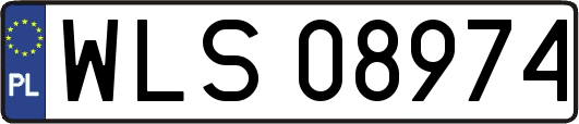 WLS08974