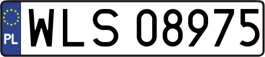 WLS08975