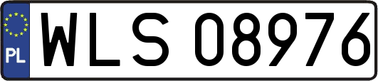 WLS08976