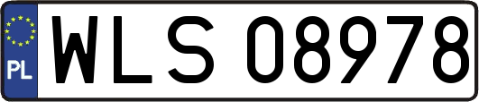 WLS08978