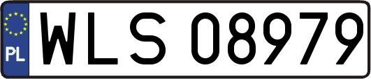 WLS08979