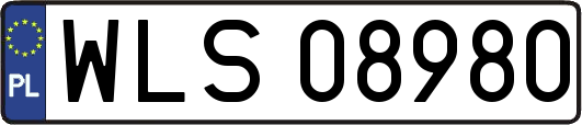 WLS08980