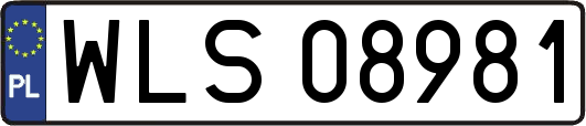 WLS08981