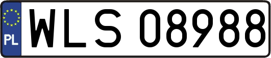 WLS08988