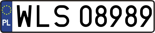 WLS08989