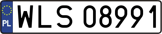 WLS08991