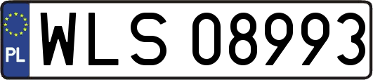 WLS08993