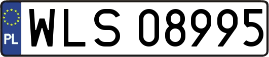WLS08995