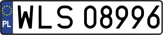 WLS08996