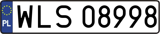 WLS08998