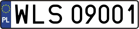 WLS09001